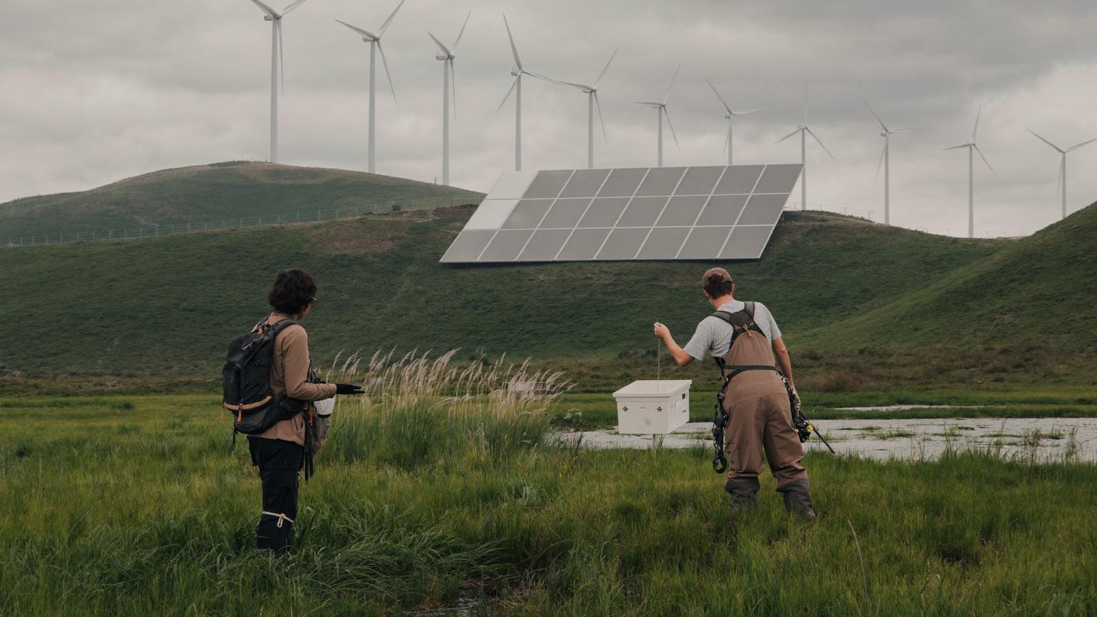 Two field researchers seen from behind sampling a wetland stream, with wind turbines and a solar array on the hills behind.
